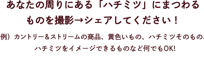 
      あなたの周りにある「ハチミツ」にまつわるものを撮影→シェアしてください！ 例）カントリー＆ストリームの商品、黄色いもの、
      ハチミツそのもの、ハチミツをイメージできるものなど何でもOK!